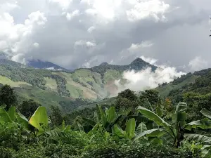 Lan Du Dao
