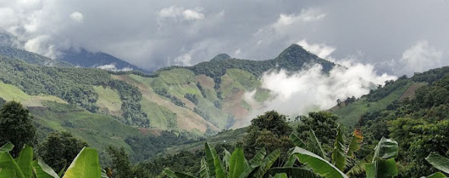 Lan Du Dao