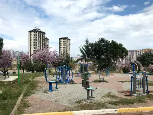 Dumankokorec