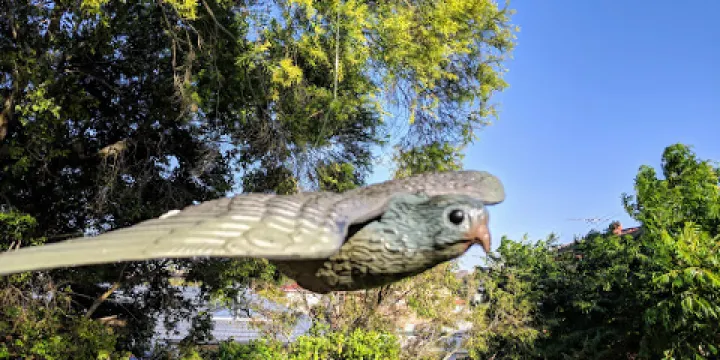 Peter Lightfoot Oval