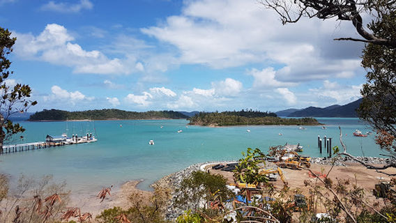 Lion's Lookout