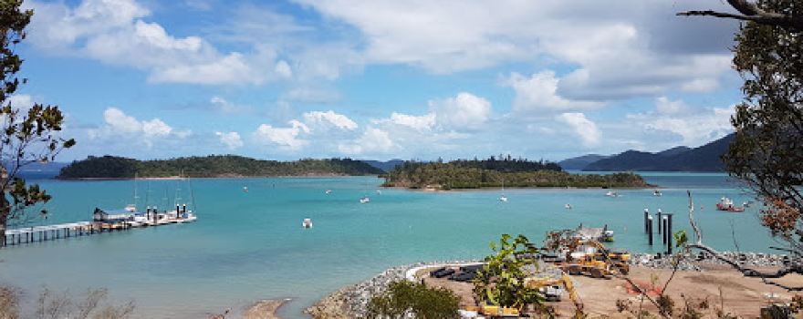 Lion's Lookout