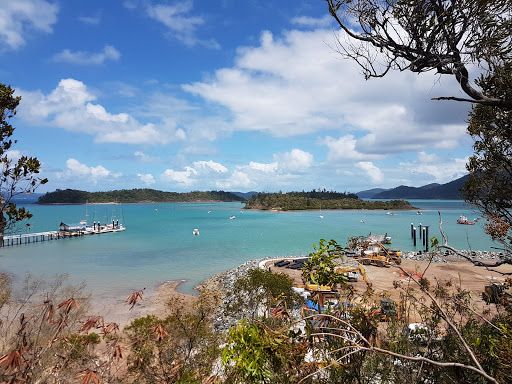 Lion's Lookout