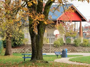 Kneeland Park