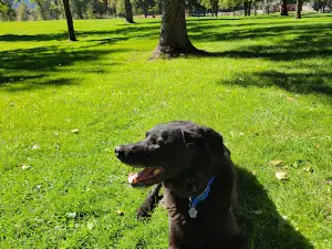 City Park
