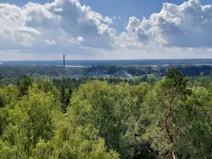 Ogres Zilo kalnu skatu tornis