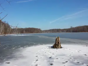 Poosey Conservation Area