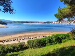 Camping El Rosal