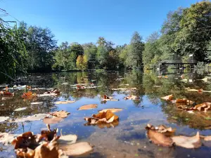 Урочище Бабка