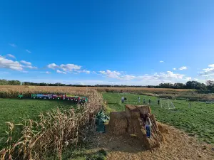 Maislabyrinth - Draußen in Höfen 7.7.-3.10.