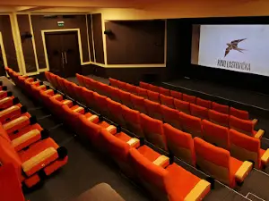 Kino Lastovička