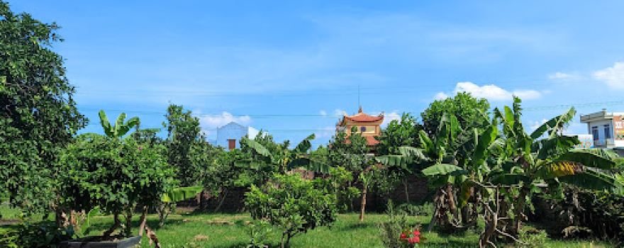Thôn Tiền Phong