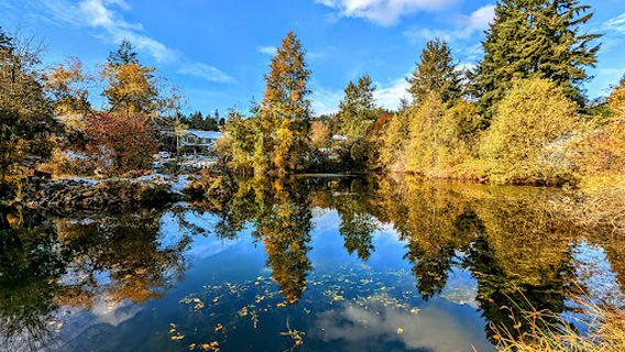 Lake Ida Ann Park