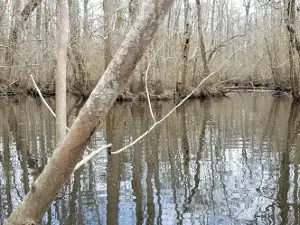 Conaby Creek Access Area