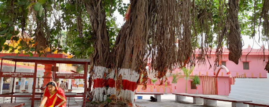 Devipatan Temple SuryaKund