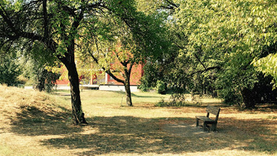 Parco Via Pilo