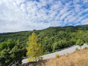 Livethra "Magnetic Field" Gravity Hill