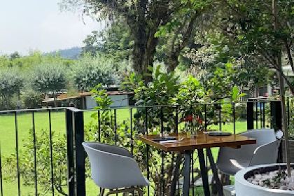 Ignis - Brasserie & Entertainment