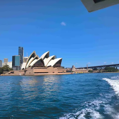 2_悉尼觀鯨遊船