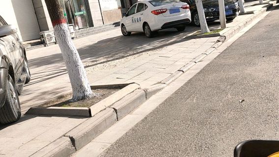 biao you fei biao ju le bu