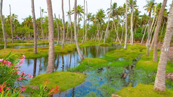 Lemur Beach
