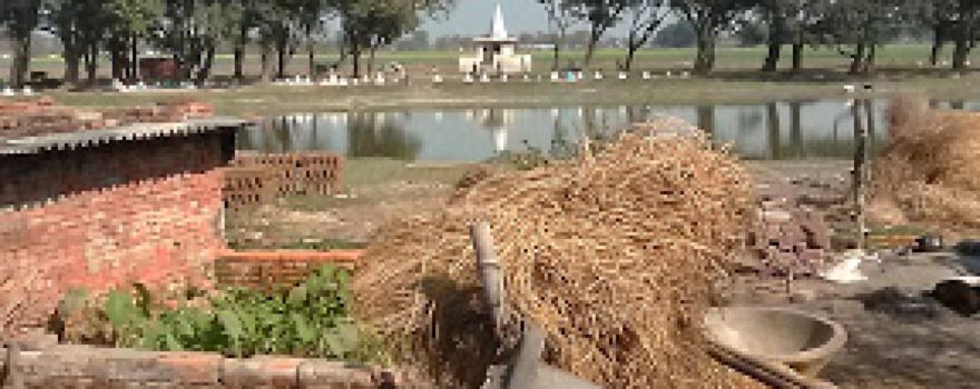 Shiv Temple (Chauhan Tola , Sawareji kharag )