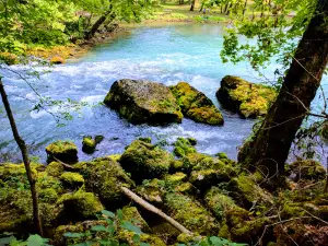 Big Spring River Camp