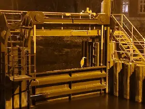 Schleuse Neue Mühle