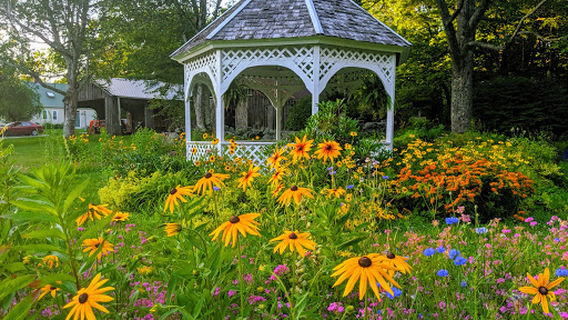 Maple Moon Farm, LLC