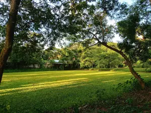 Botanical garden Shariatpur