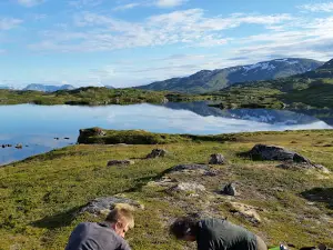 Sørøya Havfiskecruise AS