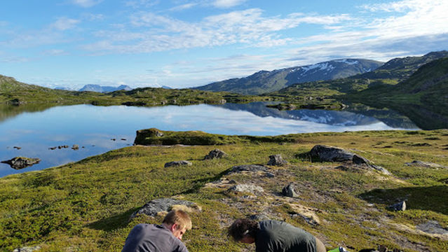 Sørøya Havfiskecruise AS