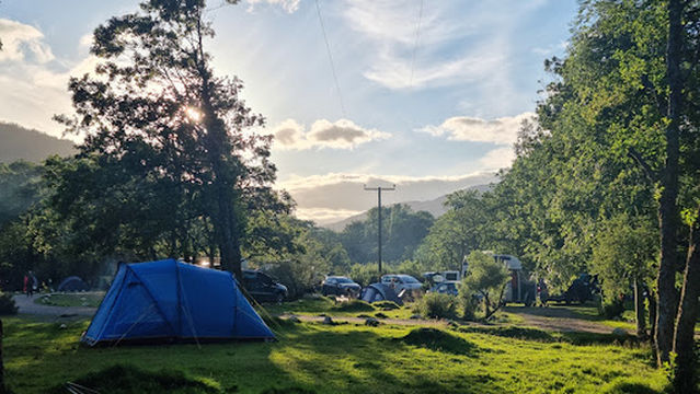 Red Squirrel Campsite Scotland