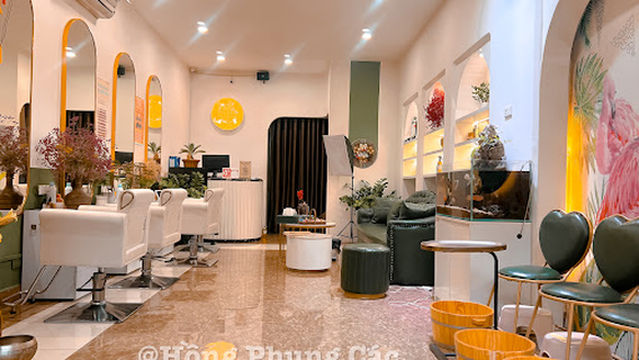 Hồng Phụng Các - chuỗi gội đầu dưỡng sinh và trị liệu Trung Hoa