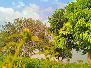 nigam gardens