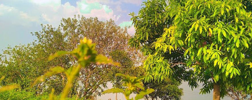 nigam gardens