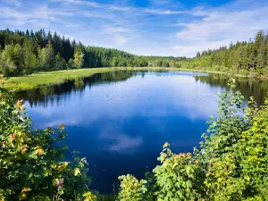 Tannermoor