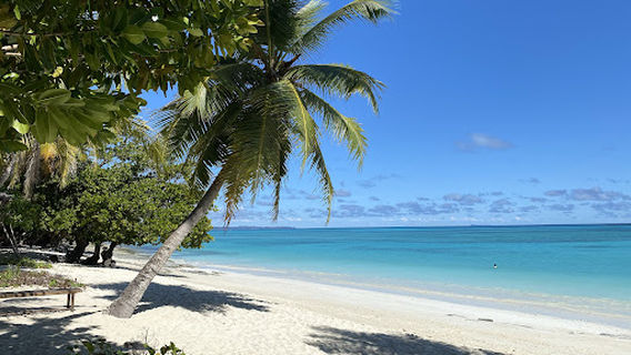 Découvertes magiques