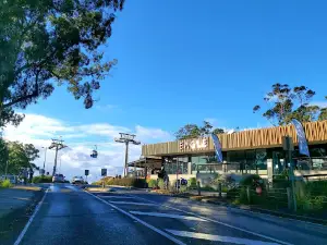 Arthurs Seat Eagle - Summit Station