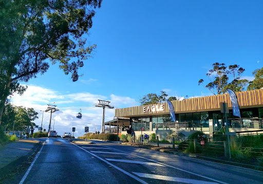 Arthurs Seat Eagle - Summit Station