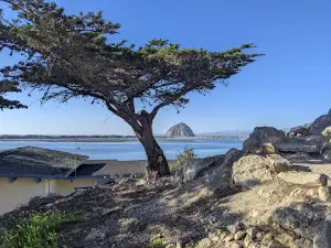 Morro Bay State Park Campground