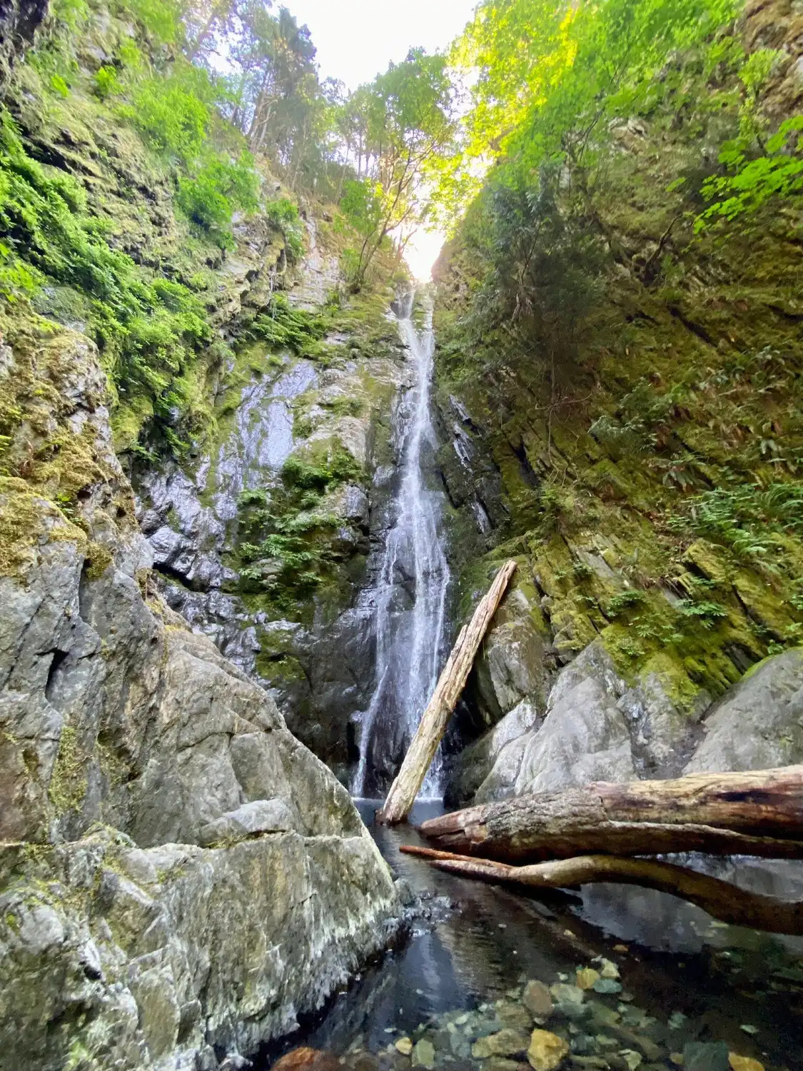 Hôtels à proximité de : parc provincial Goldstream