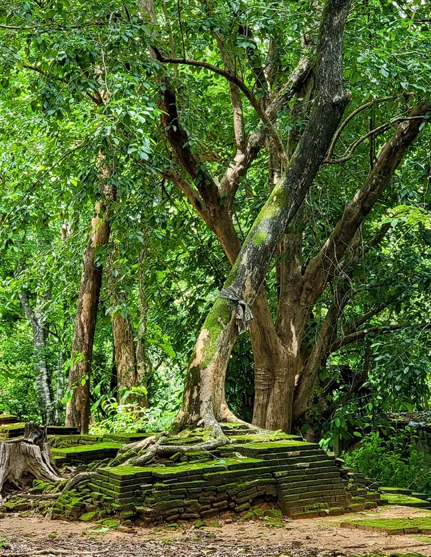 5_素貼山國家公園