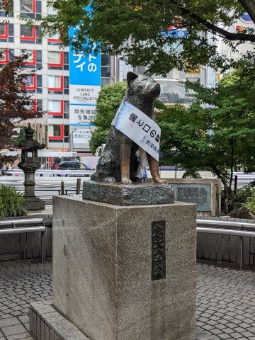Hachiko Statue Tickets [2026] - Promos, Prices, Reviews & Opening