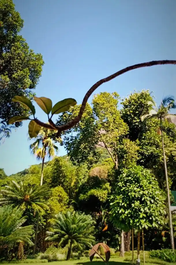 Instituto Moreira Salles 주변 호텔