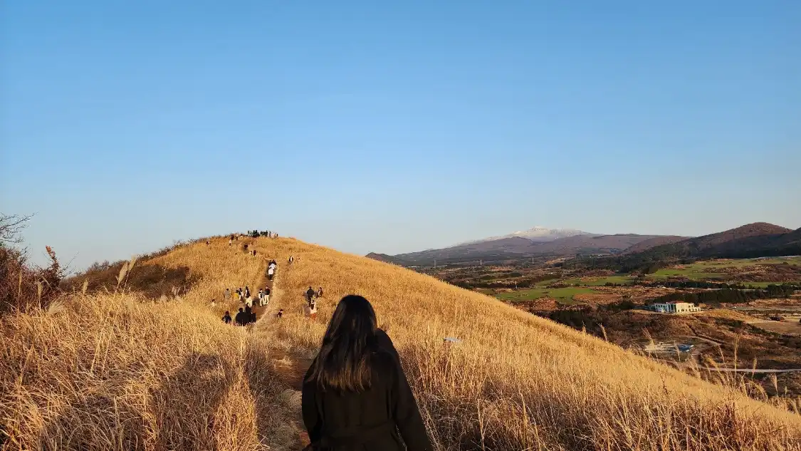 새별오름 주변 호텔