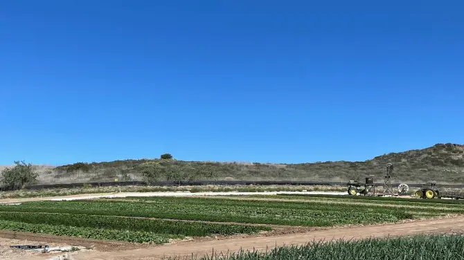 3_Tanaka Farms
