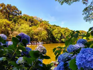 Parque Aldeia do Imigrante