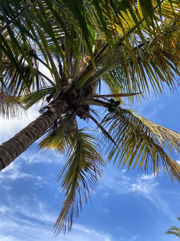 2_Botanical Park of Maspalomas (El Parque Botanico de Maspalomas)