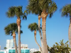 Bayfront Park